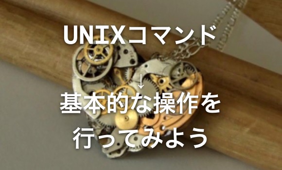 unix-first-command