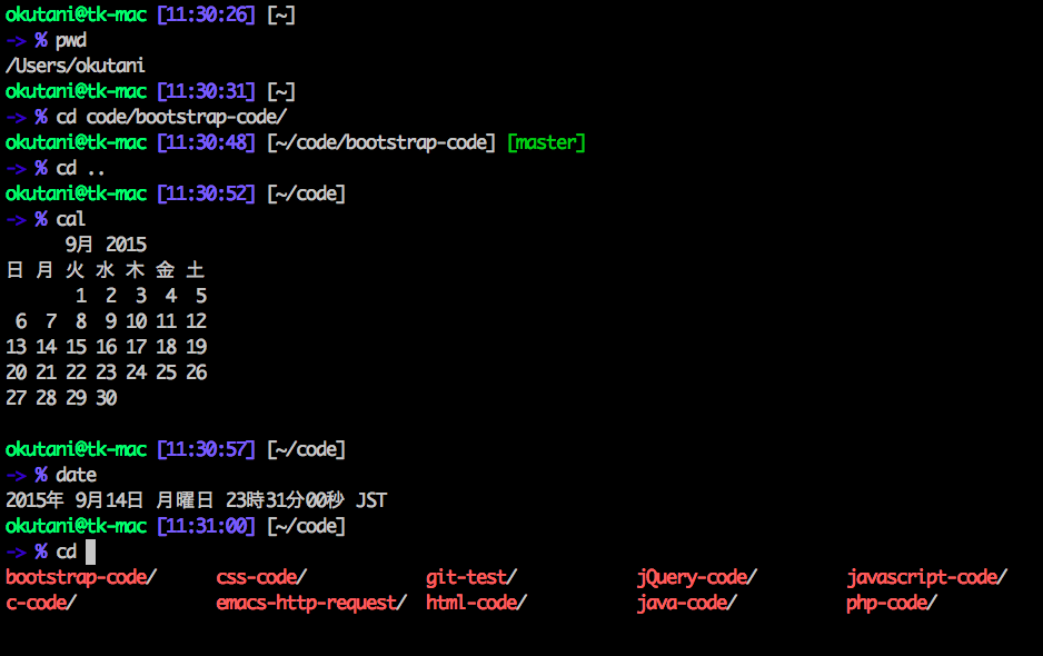 oh my クリアランス zsh 時計 表示 消す