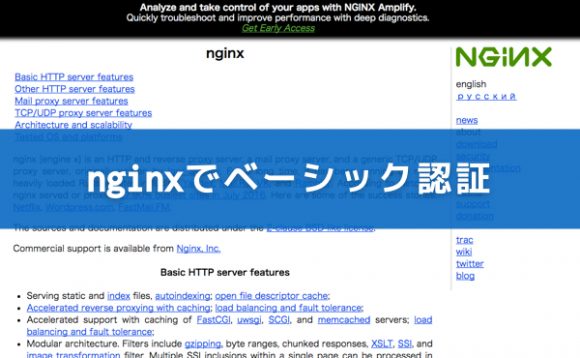 nginx-basic-authentication